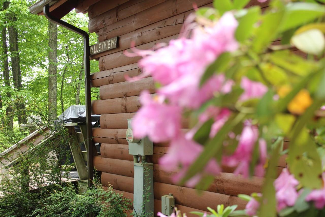 Country Road Cabins Hico Exterior foto